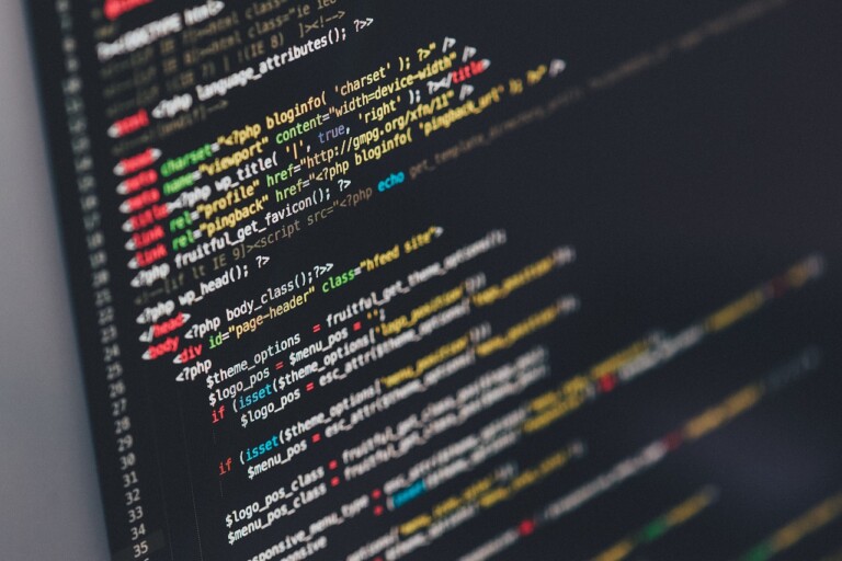 Custom WordPress Theme development